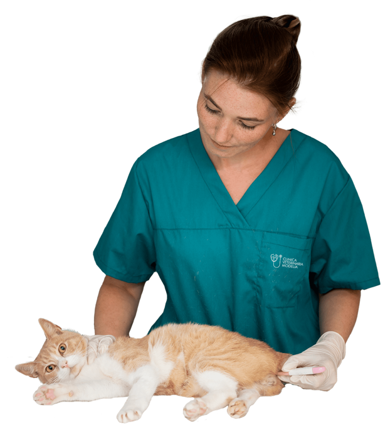 Clínica Veterinaria Modelia