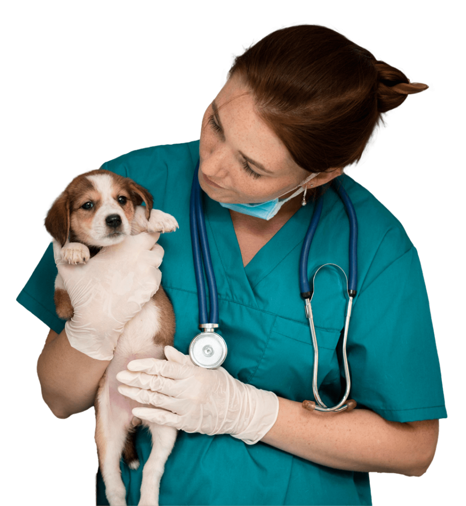 Laboratorio clínico para mascotas Clínica Veterinaria Modelia